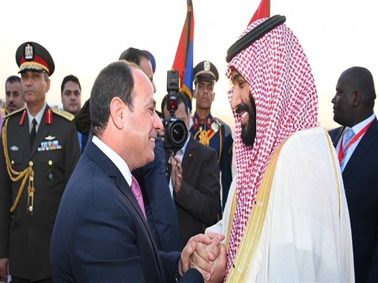 القحطاني: نجاحات مستمرة لمصر والسعودية في مكافحة اﻹرهاب