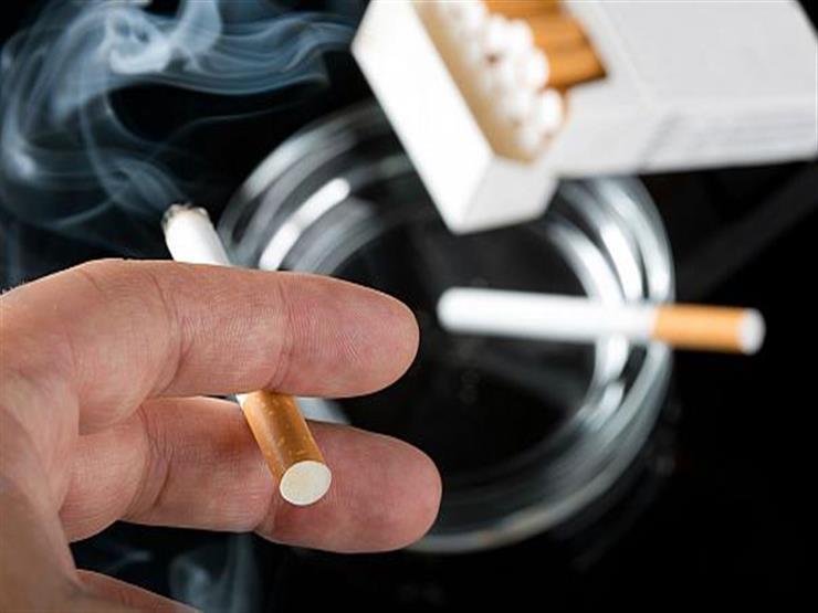 "خلوا التدخين في الآخر وعالجوا القمامة".. جدل بين برلماني ومسؤولة بـ"الصحة" حول مكافحة التدخين