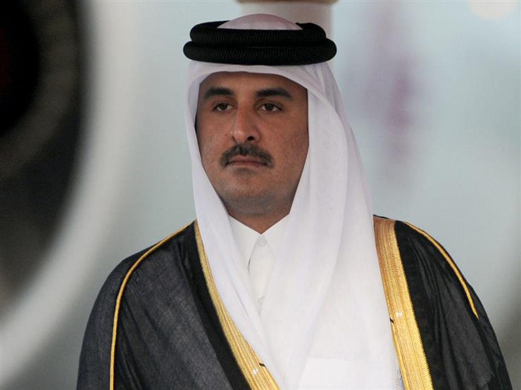 أمير قطر يشكر مصر لتعاونها في الوصول إلى هدنة في غزة
