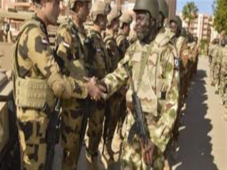 خبير عسكري: مصر تسعى للقضاء على الإرهاب في إفريقيا