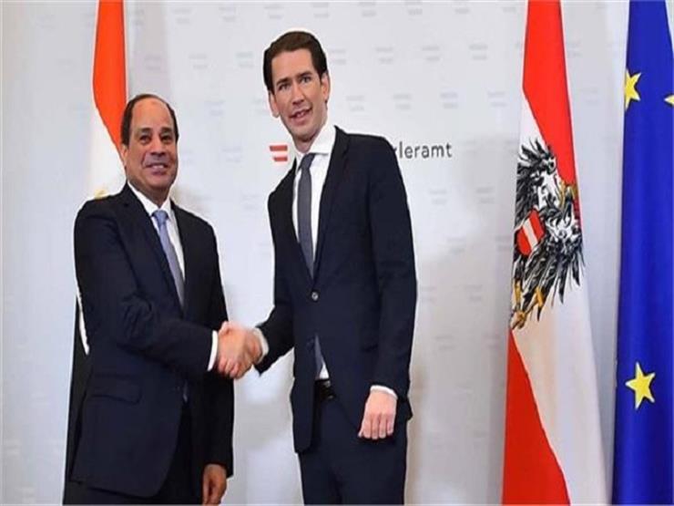 رئيس اتحاد المصريين بالنمسا: زيارة السيسي حظيت باهتمام عالمي - فيديو