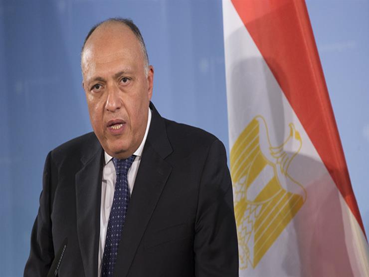 وزير الخارجية: النمسا تتفهم كل الأوضاع التي تمر بها مصر