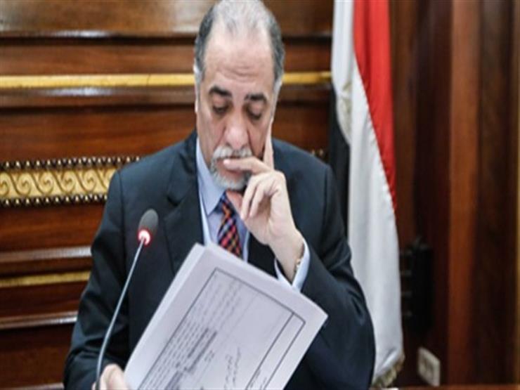 رئيس ائتلاف دعم مصر: تشريعاتنا مُتقدمة.. وبعض مواد الدستور تحتاج لتعديل