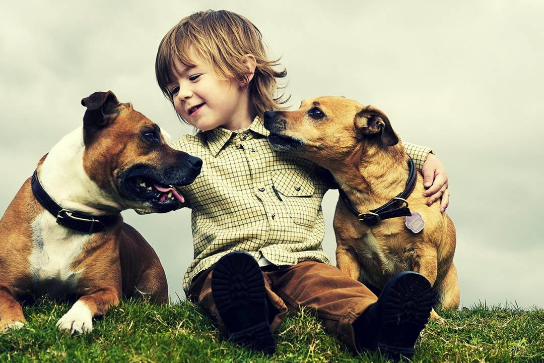 تعرض الأطفال للحيوانات الأليفة يقلل إصابتهم بالحساسية 