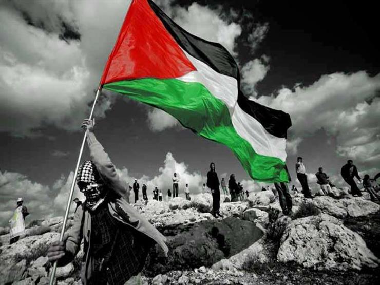 أحمد موسى للفلسطينين: "ابعدوا عننا ودوروا على أرضكم" 