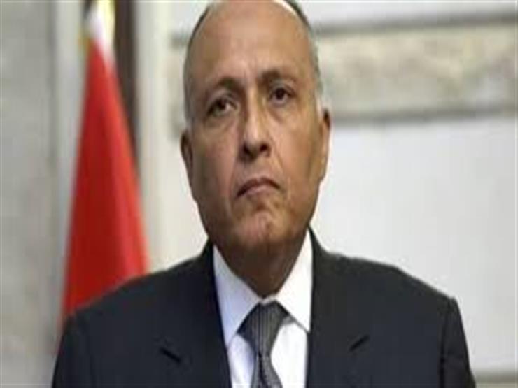 سفير مصر لدى ألمانيا: سامح شكري سيقدم رؤية مصر في مكافحة الإرهاب في ميونيخ