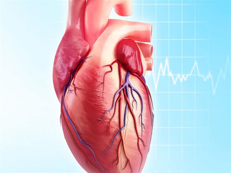 سُبات عضلة القلب.. إليك أبرز الأعراض وطرق التشخيص