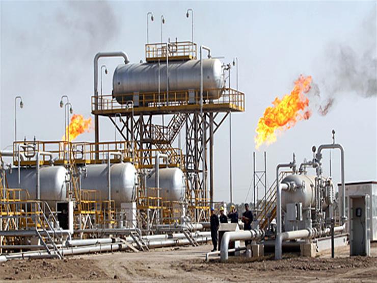البترول: "إيثدكو" الإسكندرية أكبر مجمع بتروكيماويات في الشرق الأوسط - فيديو