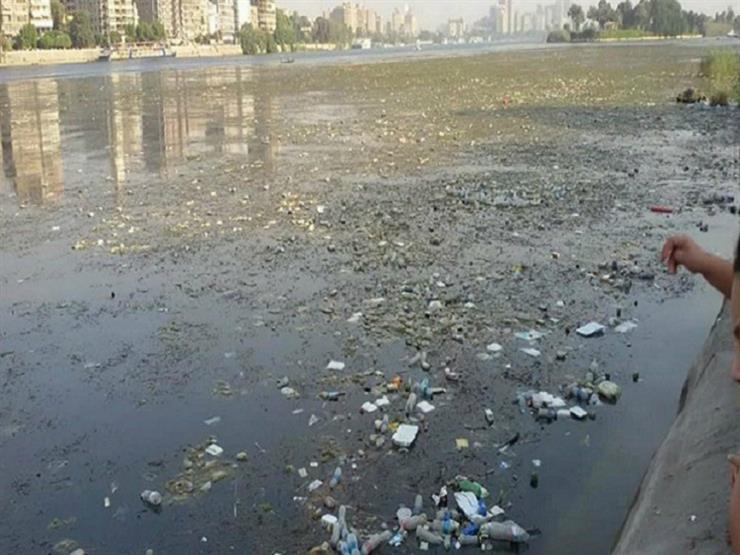 الري" عن تلوث النيل أمام النادي الدبلوماسي: "إحنا ننظف وهما يرموا الزبالة" - فيديو