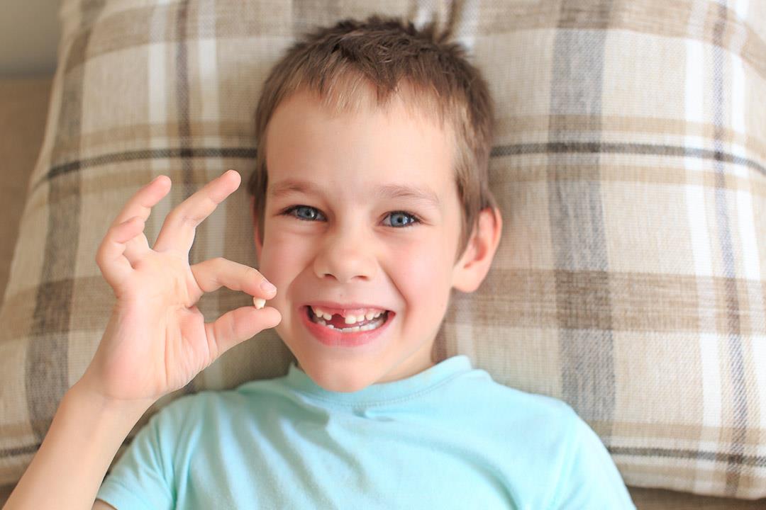 هل يجب الاحتفاظ بأسنان الطفل اللبنية؟