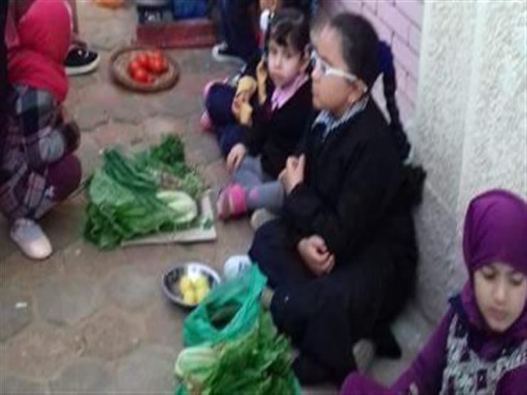 "تعليم الشرقية" عن بيع تلاميذ مدرسة لخضروات: "هدفنا تربوي"