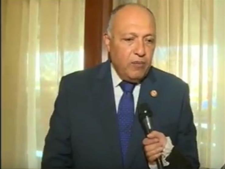 وزير الخارجية: العلاقات المصرية الإماراتية لا غنى عنها
