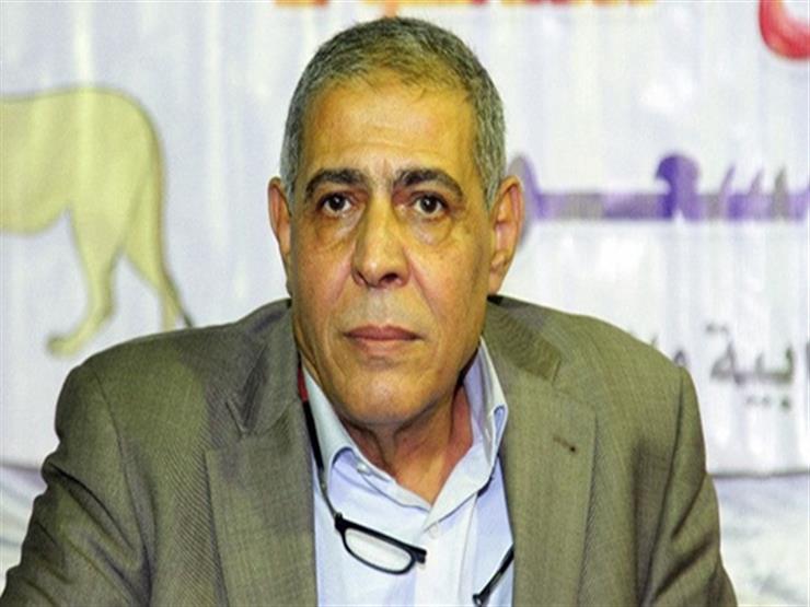 عضو "دعم مصر": لم نناقش فكرة تحويل الائتلاف إلى حزب سياسي حتى الآن -فيديو