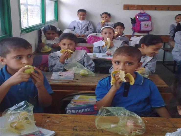 11 مليون وجبة مدرسية توزع يوميًا على المدارس.. تعرف على محتواها - فيديو