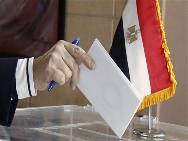السفير المصري بالسعودية: الجالية تبرعت بأوتوبيسات لنقل الناخبين   