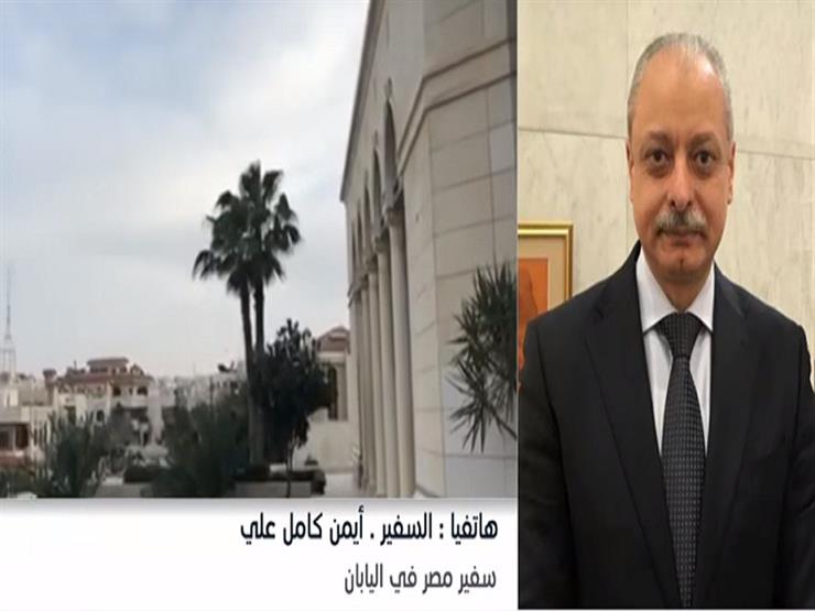 سفير مصر باليابان: توافد كبير على لجان التصويت في طوكيو - فيديو