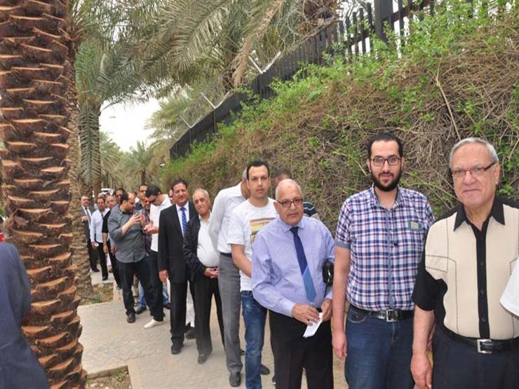 "المحافظين": نتابع تصويت المصريين بالخارج لحظة بلحظة "المحافظين": نتابع تصويت المصريين بالخارج لحظة بلحظة