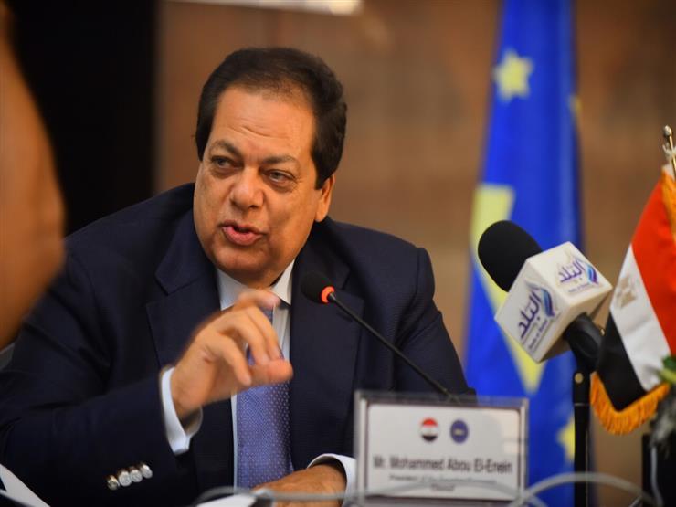 "أبو العينين": المصريون بالخارج يقدمون نموذجا مشرفا في الانتخابات الرئاسية