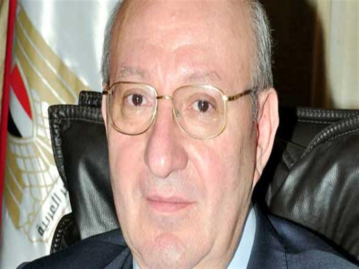 سفير مصر بالسعودية: بداية العملية الانتخابية مبشرة وتدعونا للتفاؤل - فدييو