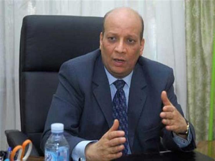سفير مصر بالجزائر: عدد الناخبين تخطى كل التوقعات - فيديو