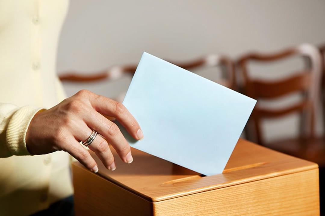 أسباب نفسية وراء تصويت المشاركين بالانتخابات.. بينها «نبرة الصوت»