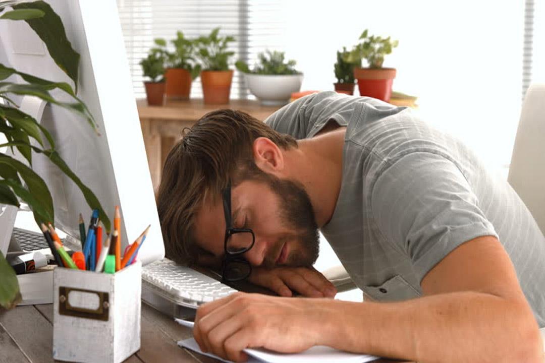 دراسة تؤكد أهمية السماح للموظفين بالنوم في العمل