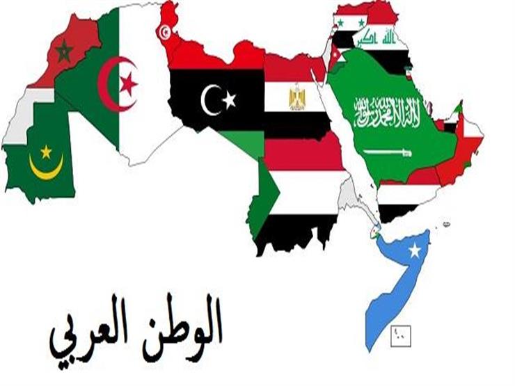 دبلوماسي سابق: أزمات الوطن العربي في مفترق طرق