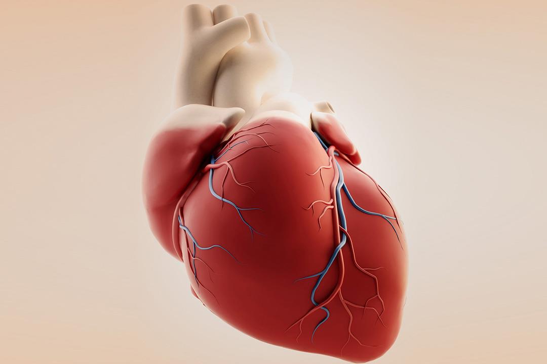 10 أسئلة تجيب عن كل ما يتعلق بجراحات القلب المفتوح 