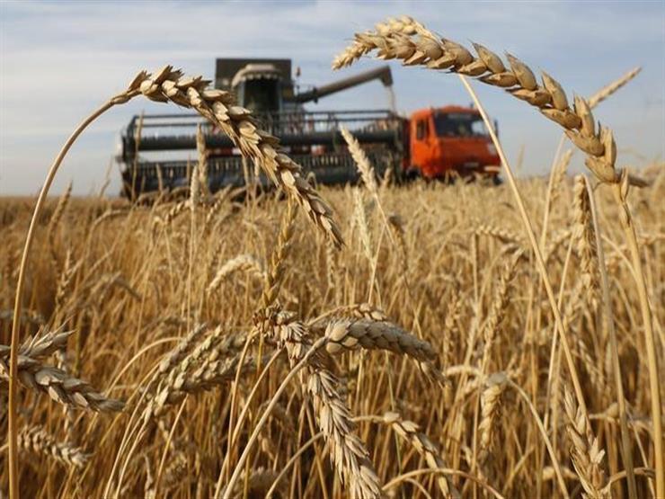 رئيس «الصوامع والتخزين»: الفلاح يتسلم ثمن القمح بعد 48 ساعة من خطوات استلامه -فيديو