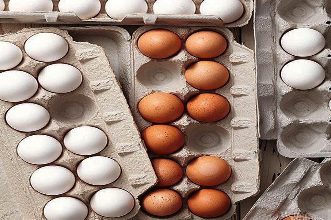 قبل تلوين البيض.. هل تختلف القيمة الغذائية للبني عن الأبيض؟