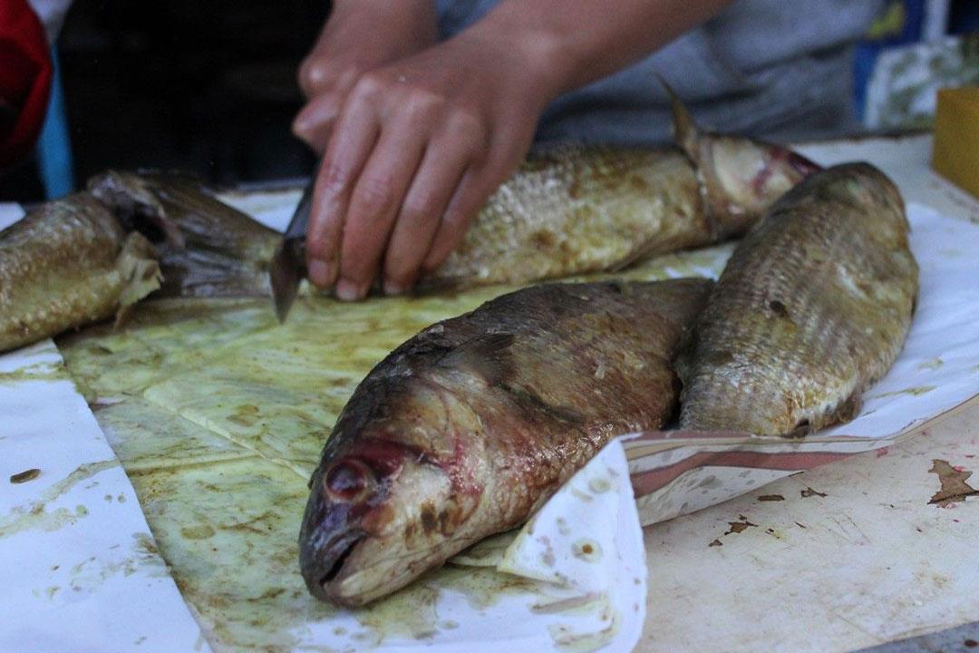 ما تأثيرات الأسماك المملحة على الجسم والصحة؟