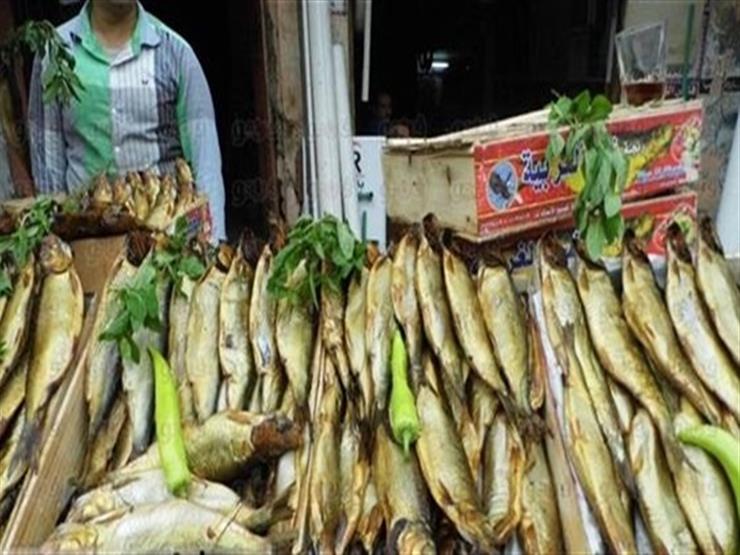 "الزراعة": رقابة على الأسماك والفسيخ بالأسواق للتأكد من صلاحيتها للاستهلاك الآدمي – (فيديو)