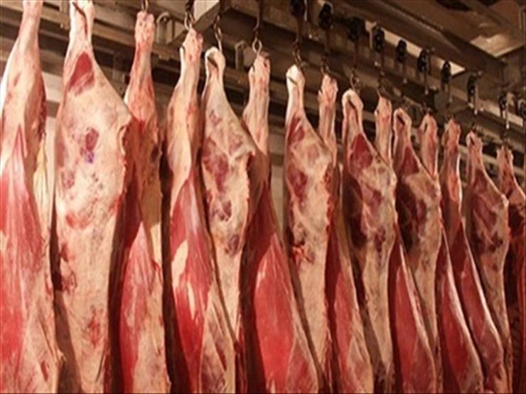 التموين تكشف عن سعر اللحوم المجمدة في "أهلا رمضان" - فيديو
