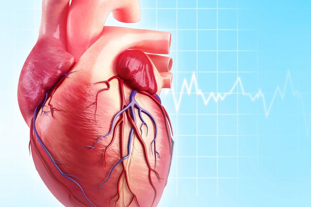هل يصوم مرضى ضعف عضلة القلب؟