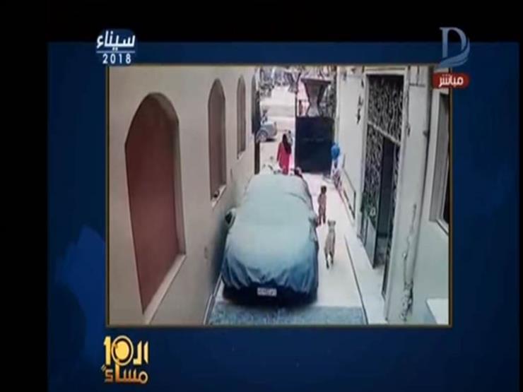 الإبراشي يعرض لحظة هجوم كلب ضال على طفلة - فيديو