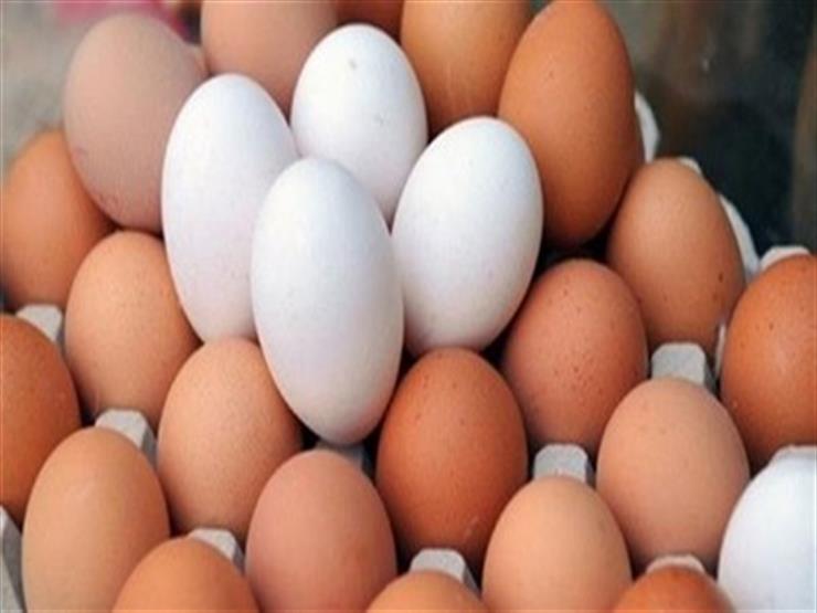 أيهما أفضل لصحتك.. البيض الأحمر أم الأبيض؟