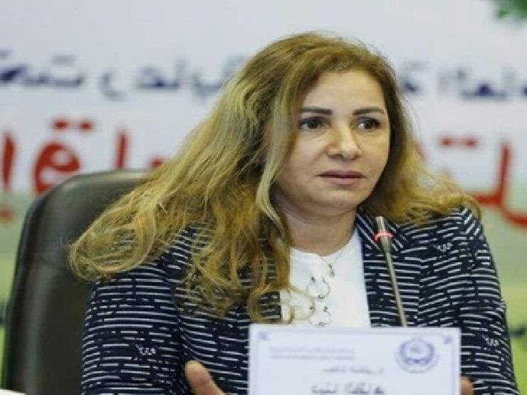 مدير "النقل والسياحة في الجامعة العربية": "المنظومة في بعض الدول تحتاج إلى تغيير" مدير "النقل والسياحة في الجامعة العربية": "المنظومة في بعض الدول تحتاج إلى تغيير"