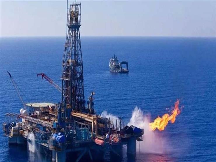 متحدث البترول: مصر أصبحت لاعبا رئيسيا في صناعة الغاز