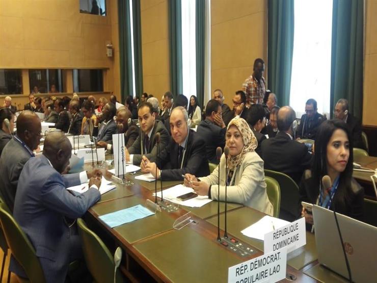 مندوب مصر بالأمم المتحدة: نرغب في تعزيز دور المرأة ...