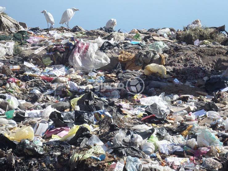 رئيس حي الدقي: القمامة متراكمة منذ 15 عامًا في هذه المنطقة