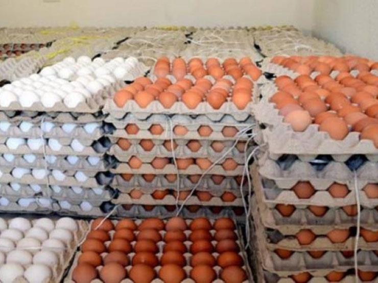 ارتفاع البلدي.. أسعار البيض اليوم الثلاثاء في الأسواق (موقع رسمي)