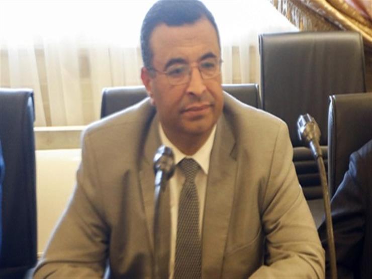 برلماني: منح الجنسية المصرية حق أصيل لوزير الداخلية