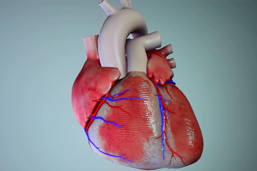 من الأكثر عرضة للوفاة بقصور القلب؟.. دراسة تحدد