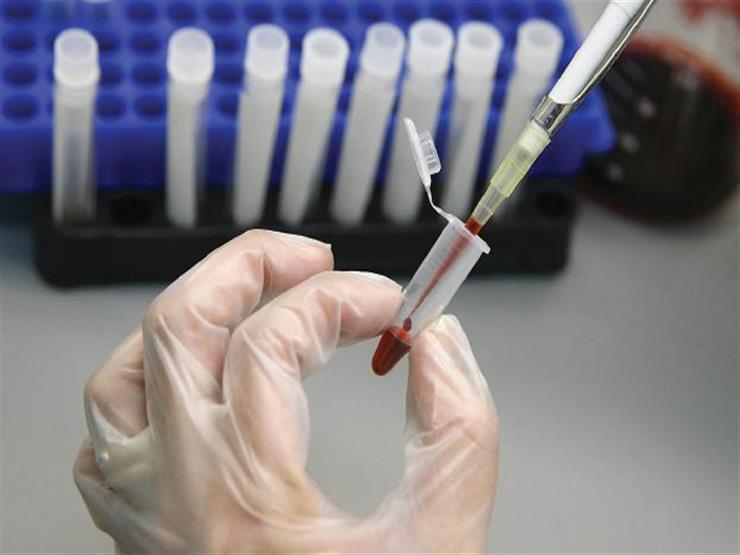 الأمم المتحدة: إنشاء فريق خبراء مستقل لمواجهة التحرش الجنسي الأمم المتحدة: إنشاء فريق خبراء مستقل لمواجهة التحرش الجنسي