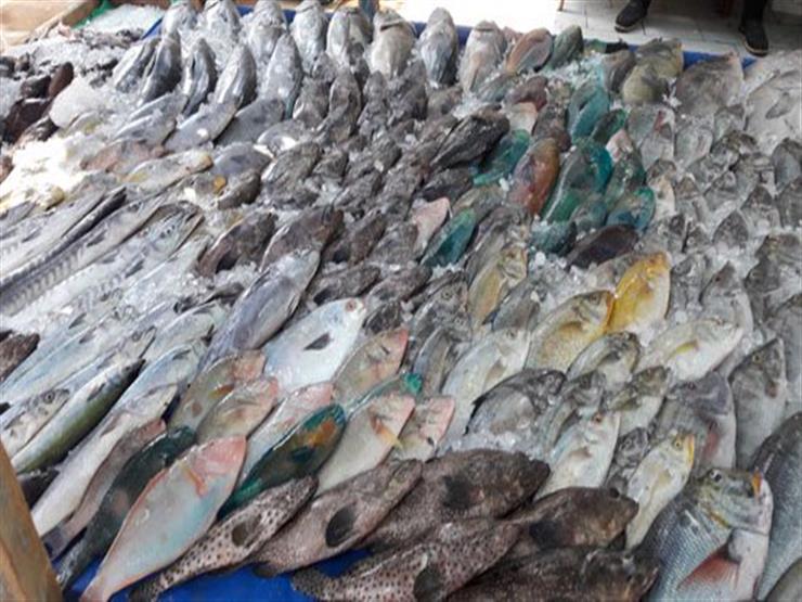 منها البيض والسمك.. 3 منتجات صينية هددت حياة المصريين منها البيض والسمك.. 3 منتجات صينية هددت حياة المصريين