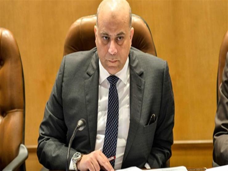رئيس اقتصادية النواب: مصر تسير على الطريق الصحيح