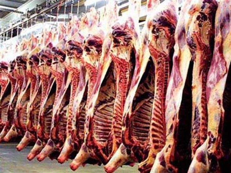 "الصناعات الغذائية" تعلن أسعار اللحوم في عيد الأضحى: "نملك 214 ألف رأس"