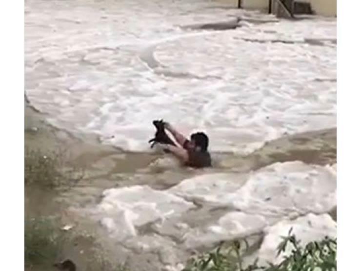 بالفيديو | شاب سعودي ينقذ "قطة" جرفتها مياه السيول 
