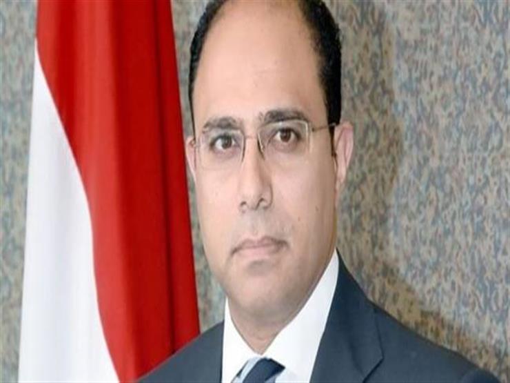 متحدث "الخارجية": اتهام القضاء المصري بعدم العدالة جريمة