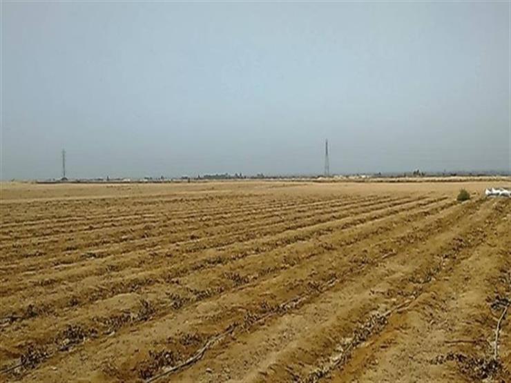 محافظ شمال سيناء يكشف تفاصيل مشروع التجمع الزراعي الجديد - فيديو